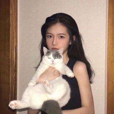 心灵追寻手游下载